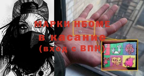 прущие грибы Сатка
