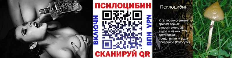 Псилоцибиновые грибы Magic Shrooms  Трубчевск 